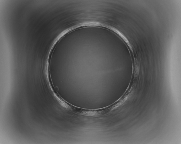 X0000116491245200912161312