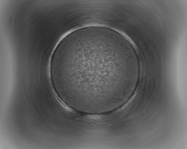 X0000116491246200912161312