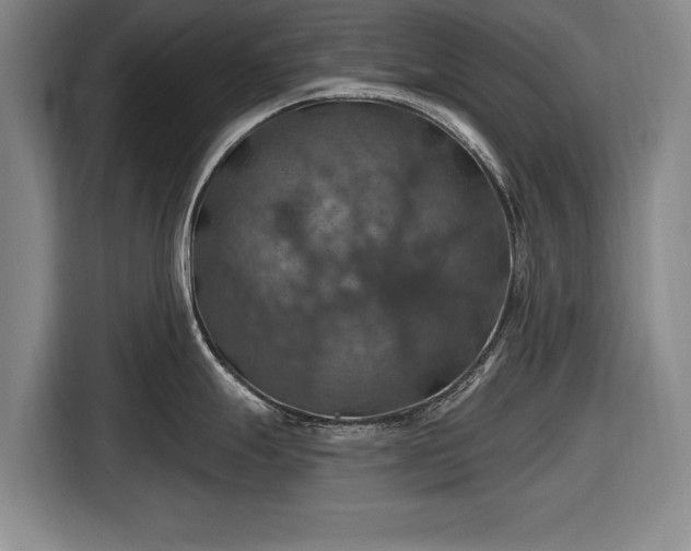 X0000116491247200912161312