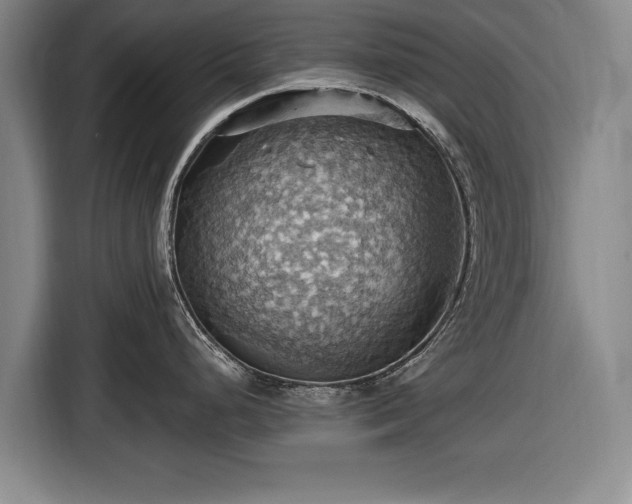 X0000116491248200912161312