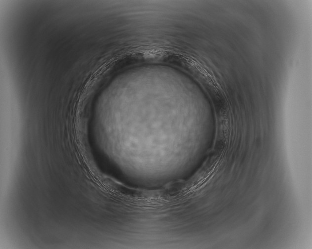 X0000116491249200912161312