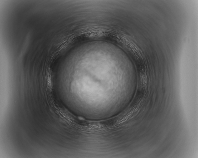 X0000116491250200912161312