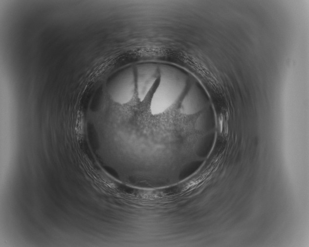 X0000116491251200912161311