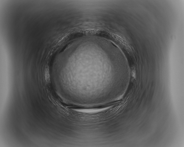 X0000116491252200912161311