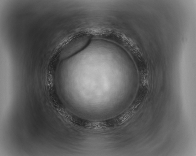 X0000116491253200912161311