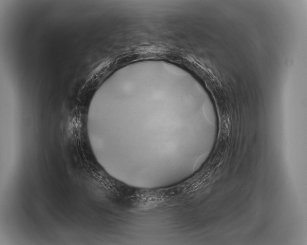 X0000116491254200912161311