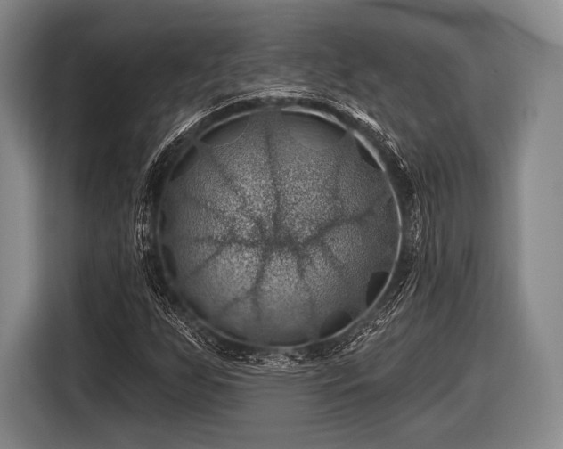 X0000116491255200912161311