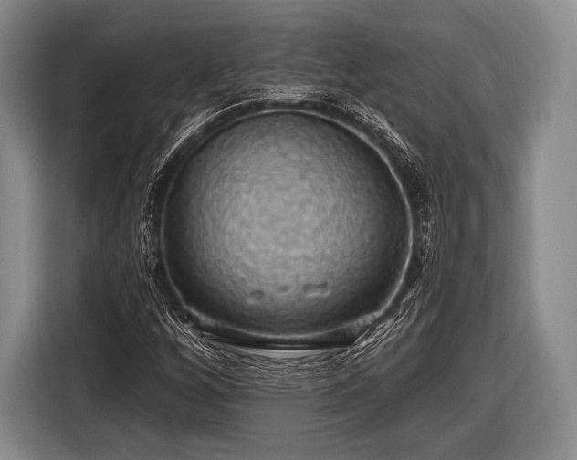 X0000116491256200912161311