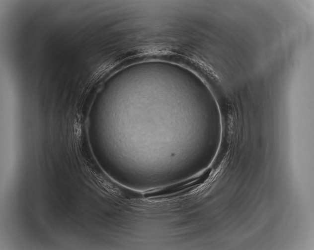 X0000116491257200912161311