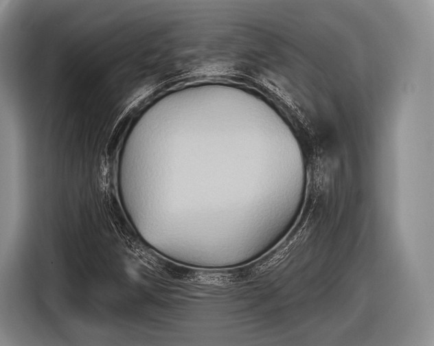 X0000116491258200912161311