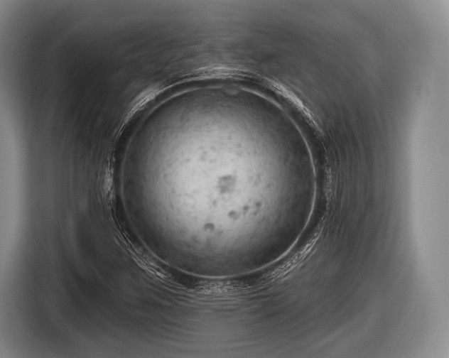 X0000116491259200912161311