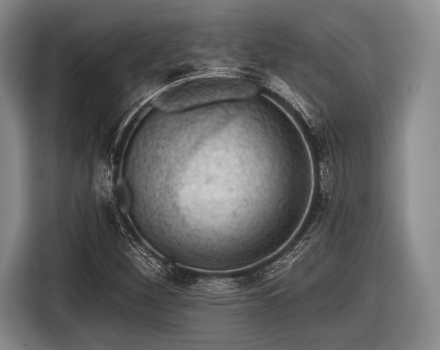 X0000116491260200912161311