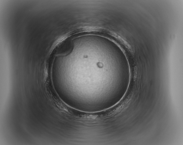 X0000116491261200912161311