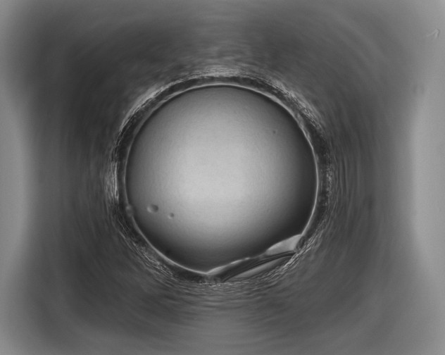 X0000116491262200912161311