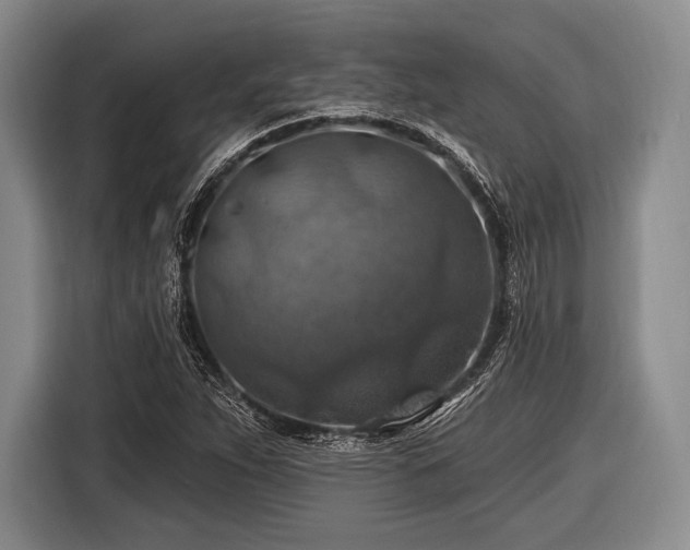 X0000116491263200912161311