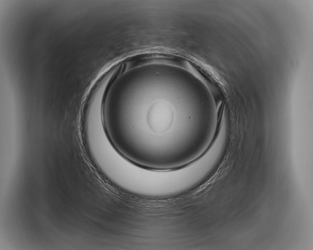 X0000116491264200912161311