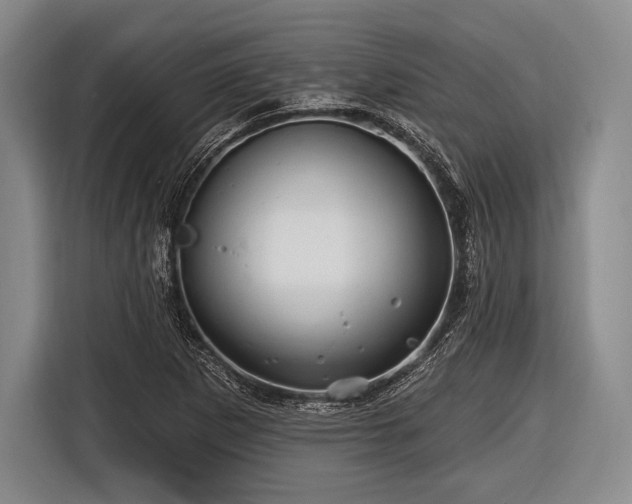 X0000116491265200912161311