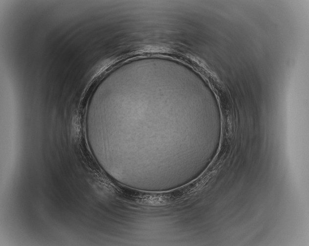 X0000116491266200912161311