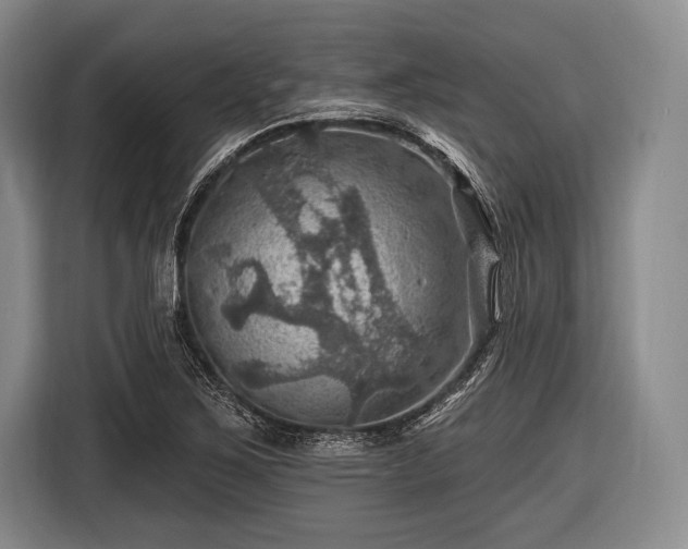 X0000116491267200912161311