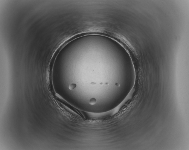 X0000116491268200912161311