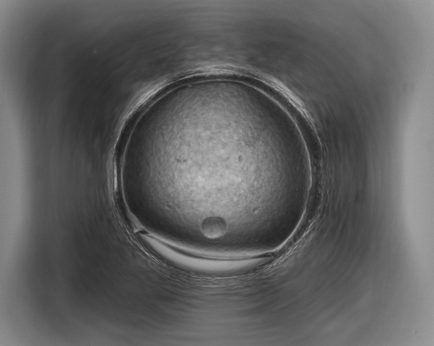 X0000116491269200912161311