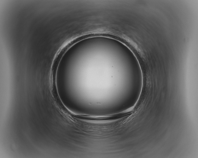 X0000116491270200912161311