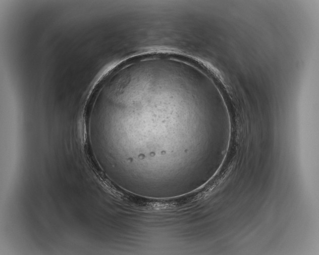 X0000116491271200912161311