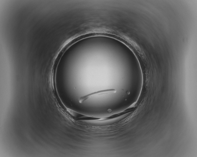 X0000116491272200912161311