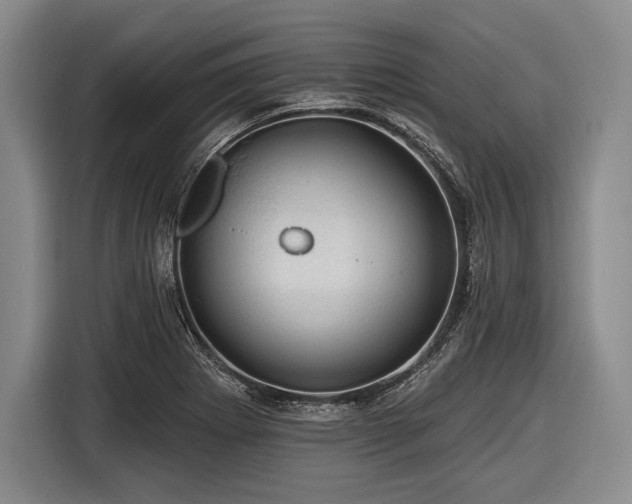 X0000116491273200912161311