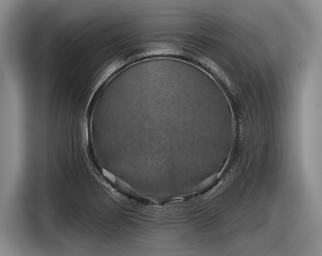 X0000116491274200912161311