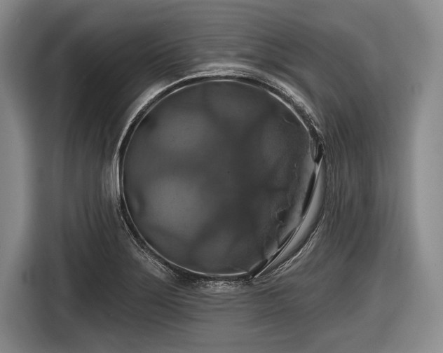 X0000116491275200912161311