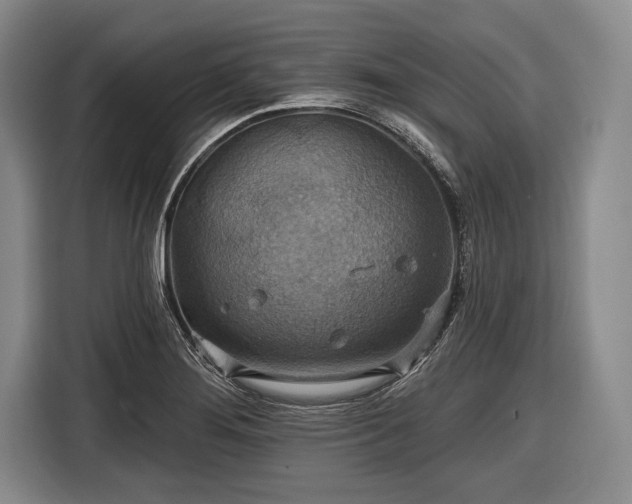 X0000116491276200912161311