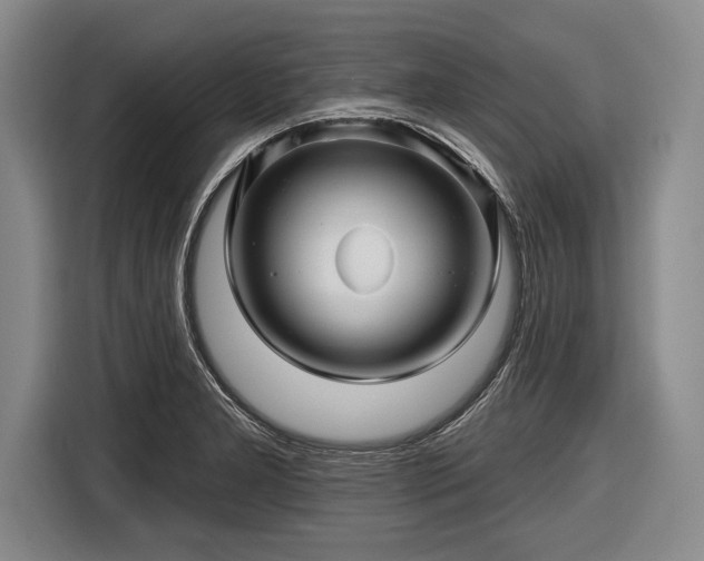 X0000116491277200912161311