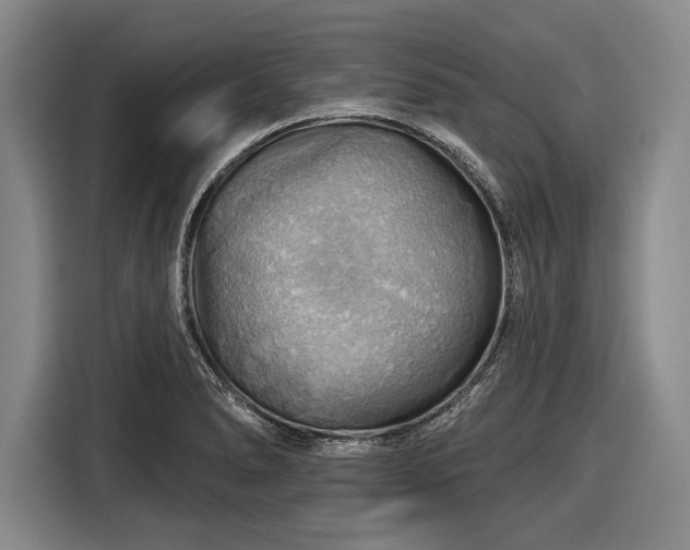 X0000116491278200912161311