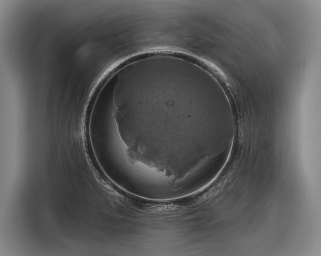 X0000116491279200912161311