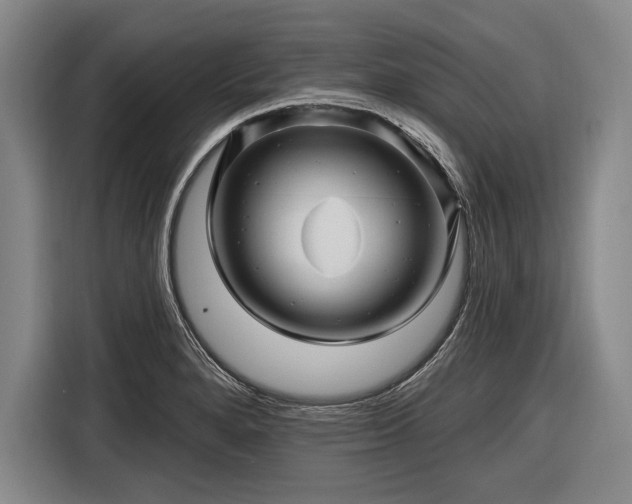 X0000116491280200912161311