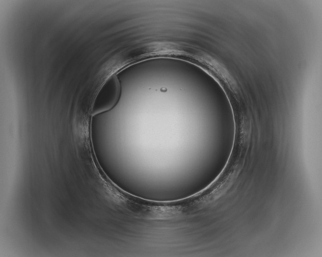 X0000116491281200912161311