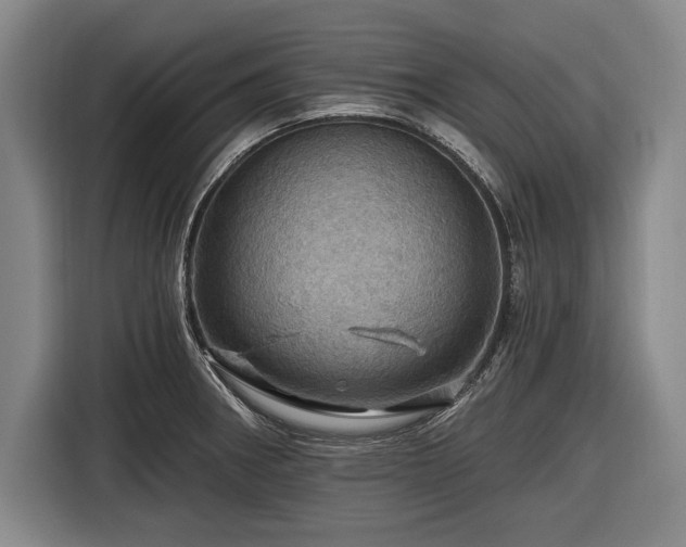 X0000116491282200912161311