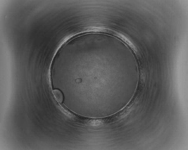 X0000116491283200912161311