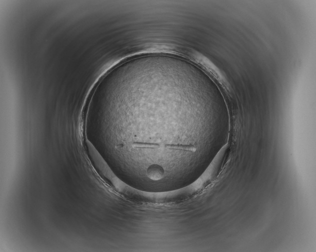 X0000116491284200912161311