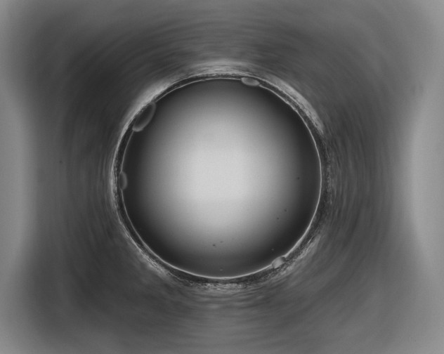 X0000116491285200912161311