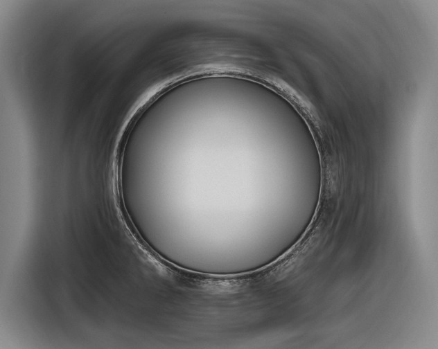 X0000116491286200912161311