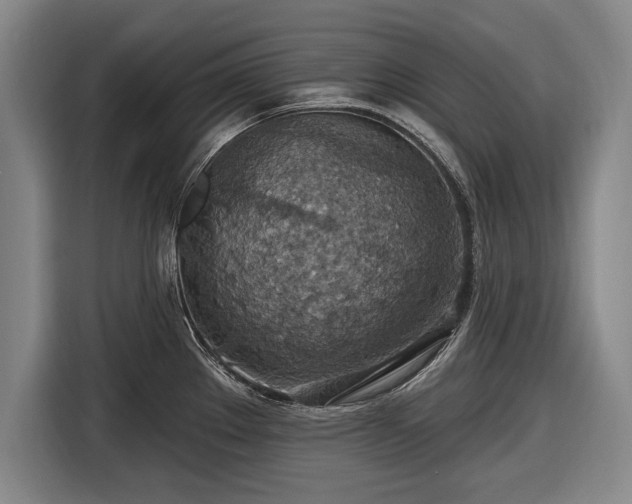 X0000116491289200912161311