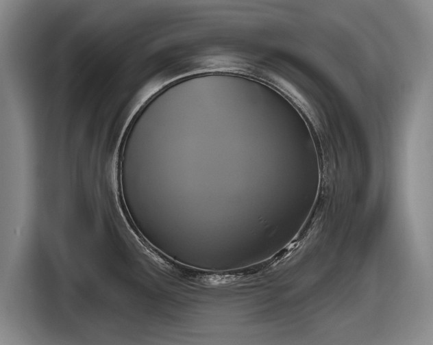 X0000116491291200912161311