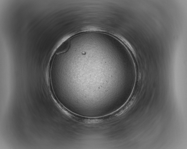 X0000116491293200912161311