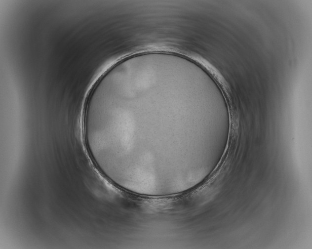 X0000116491294200912161311