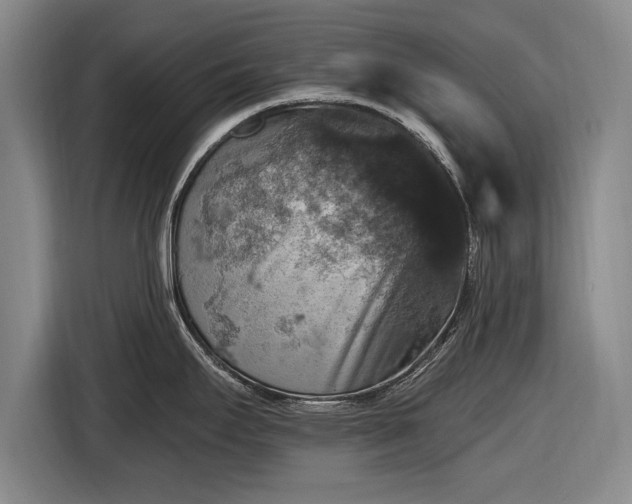 X0000116491295200912161311