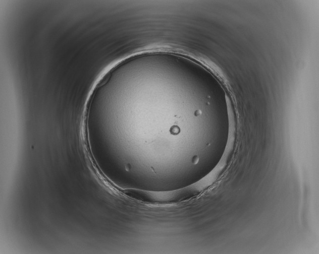 X0000116491296200912161311