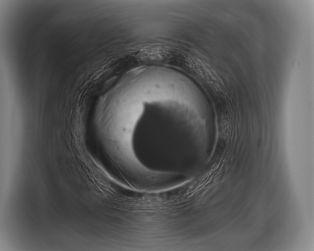 X0000116491297200912161310