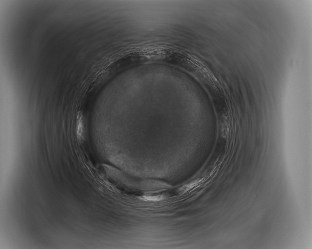 X0000116491298200912161310